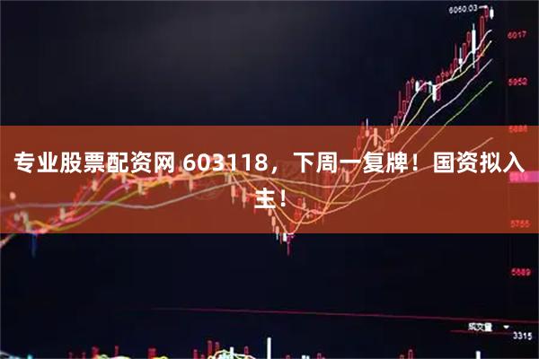 专业股票配资网 603118，下周一复牌！国资拟入主！